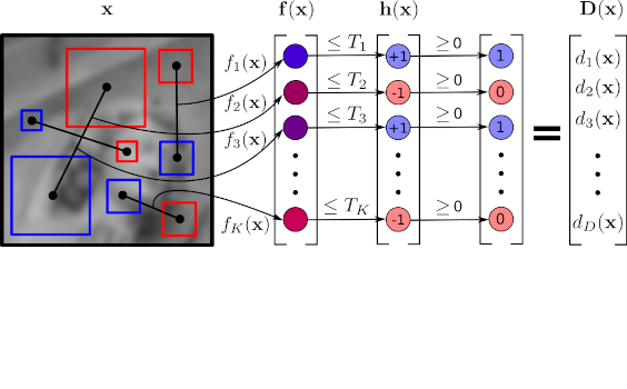 Efficient local image descriptors