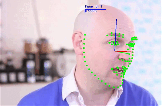 Efficient local image descriptors